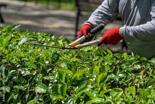 Canvastavla The gardener is moving the plant fences