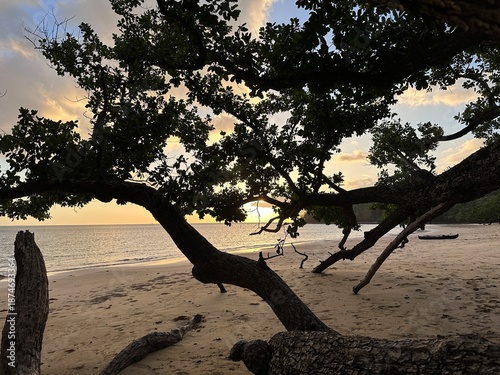 Tropical beach with trees at sunset on Palawan Island, Philippines