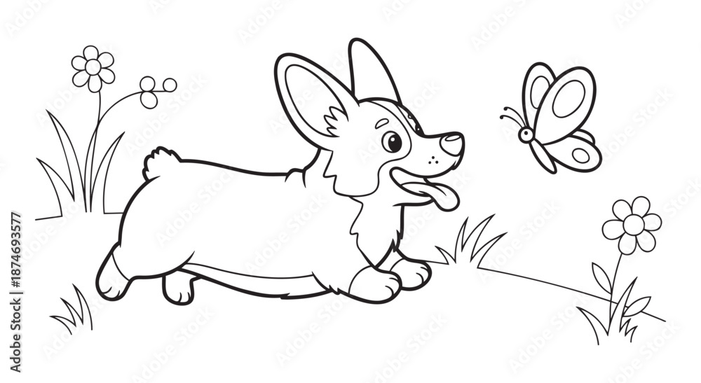 Obraz premium Corgi dog running with butterfly and flowers coloring page