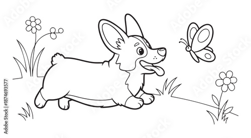 Corgi dog running with butterfly and flowers coloring page