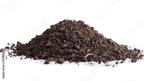 Wallpaper Mural A small pile of dark, rich soil, photographed against a stark white backdrop Torontodigital.ca