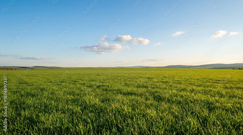 Obraz premium Vast green field under a clear blue sky with scattered white clouds and distant rolling hills