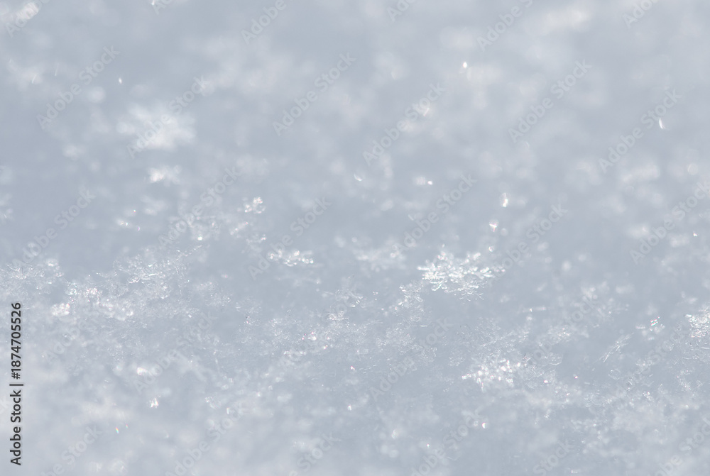 Obraz premium Delicate Snowflakes Resting on a Winter Landscape, Capturing the Essence of January's Cold Embrace Amidst a Frosted Wonderland