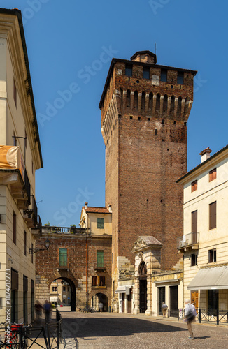 Wallpaper Mural View of Castello gate and tower, Vicenza, Veneto region, Italy Torontodigital.ca