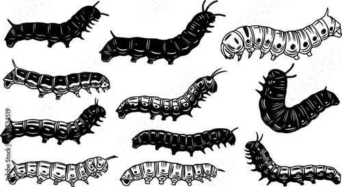 Caterpillar silhouettes collection, worm insect species, crawling larvae, entomology art, vector illustration, nature design, wildlife icon, garden pest, bug pattern, segmented ... See More
