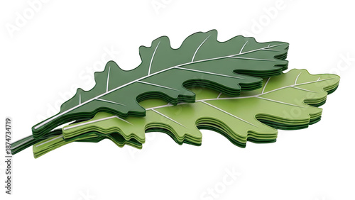 Stack of Green Oak Leaves with White Veins on White Background