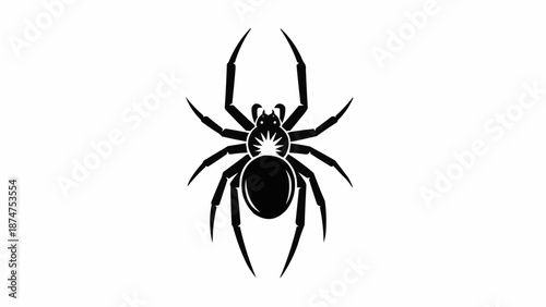 spider on a white background