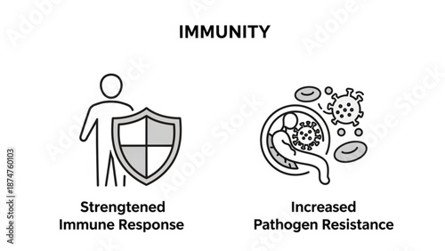 Immunity concept with strengthened immune response and increased pathogen resistance icons with health and medical and wellness with vector