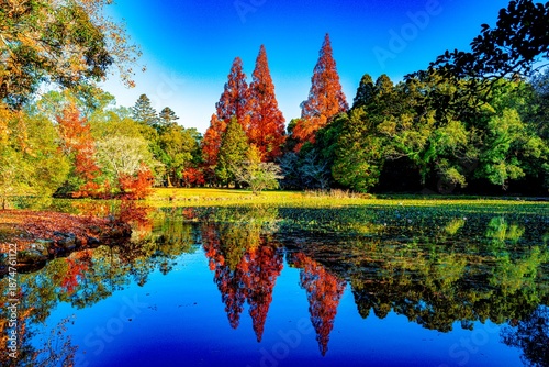 宇佐神宮の紅葉