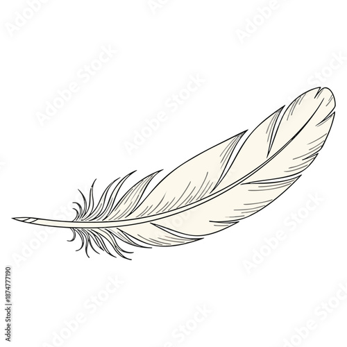 Elegant and Delicate Single Feather Artistic Hand-Drawn Illustration Design Element