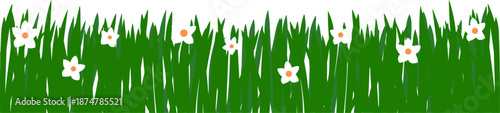 Vector of green grass and grass flowers. Spring garden grass and flowers border. Cartoon vector flower background. Green elements objects flora on transparent background. grass and flowers. 