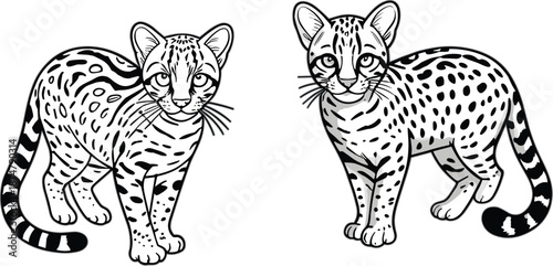 Photos Black and white line art vector illustration of two cute ocelot kittens for colo