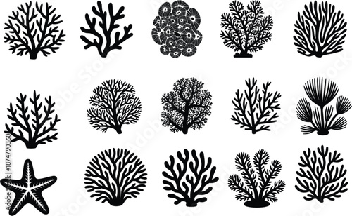 Collection of black coral reef silhouettes and starfish icons isolated on white background for marine life and underwater designs