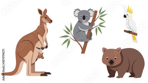 Collection of Australian Wildlife Featuring a Kangaroo, Koala, Wombat, and Cockatoo Illustration