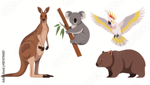 Cute Australian Animals Collection Kangaroo, Koala, Cockatoo, and Wombat Illustrations