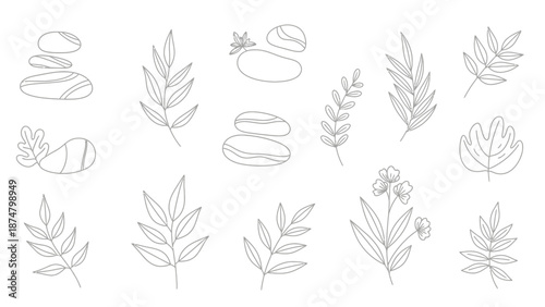 Minimalist Line Art Collection of Spa Stones and Botanical Elements.