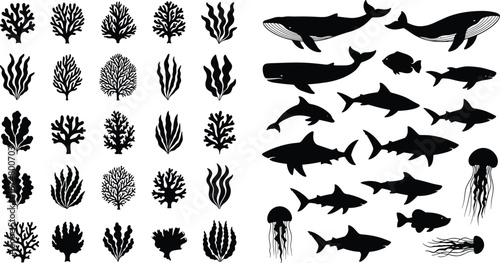 Sea life silhouette set with whale shark jellyfish coral reef seaweed cad drawing flat vector illustration underwater ocean marine animal collection.