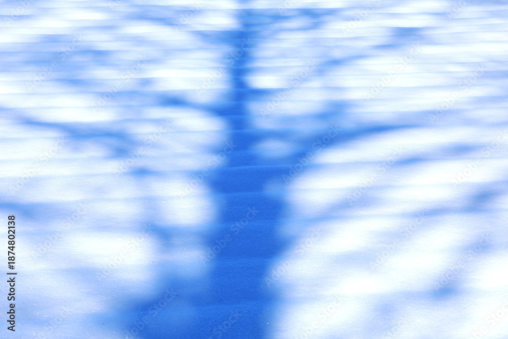Fototapeta premium 雪面に映る木の影がデザイン的な背景素材