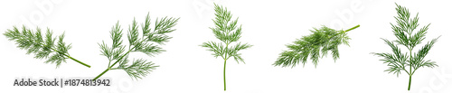 Fotografie a collection of fresh, vibrant green dill sprigs, showcasing their delicate, feathery leaves, perfect for culinary and herb-related designs