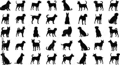 Black Vector Silhouette Collection Featuring Diverse Dog Breeds in Various Standing and Sitting Poses Isolated on White Background for Pet Shops and Animal Care