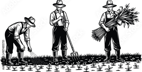 Hand drawn vintage woodcut style vector illustration of farmers planting seeds, tilling soil with pitchfork, and harvesting corn stalks in a rural field