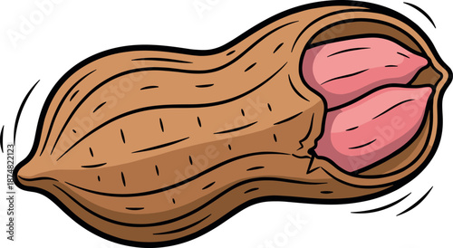Peanut in shell vector illustration with cracked husk revealing two nuts for healthy snack and organic food design