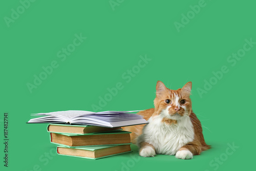Cute cat with books lying o...