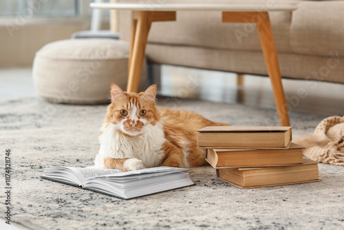 Cute cat with books lying o...