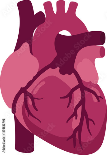 Stylized Illustration of a Heart