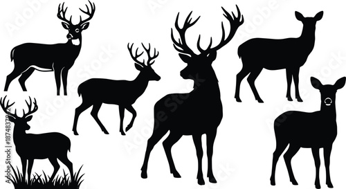Collection of black deer silhouettes including stag and doe wildlife animal shapes isolated on white background, hunting, nature, forest illustration vector clipart design
