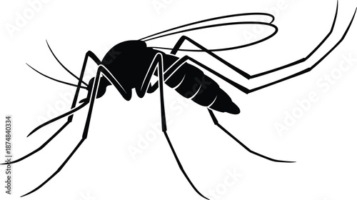Mosquito insect silhouette, dangerous biting pest illustration for disease transmission awareness, health risk concept, isolated black vector graphic art background