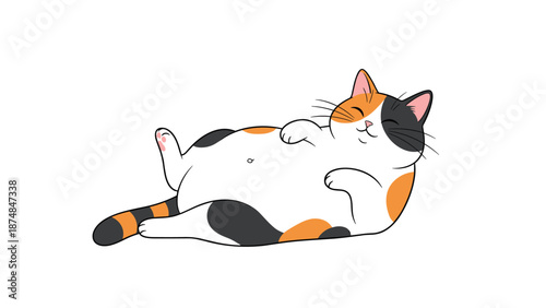Charming calico cat with orange, black, and white patches lying on its back in a relaxed pose on a plain white background.