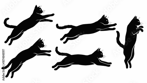 Black Cat Silhouettes in Various Poses.