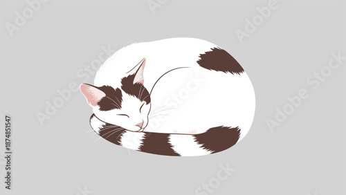 Cute white cat with dark brown spots curled up into a ball and sleeping peacefully on a solid grey background.