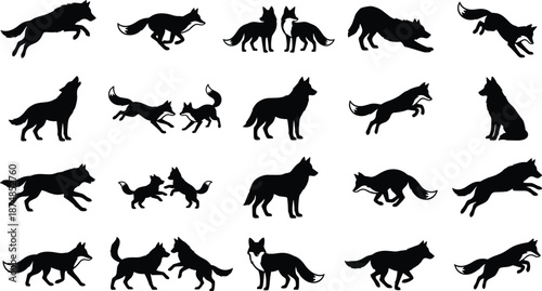 Fox silhouette collection showing running walking jumping playing and resting poses isolated on white background, black vector wildlife illustration set