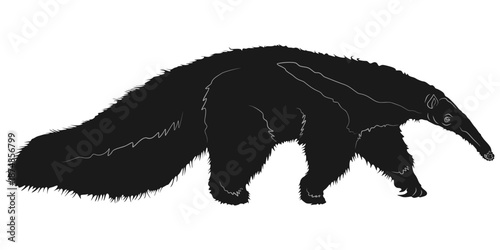 silhouette vector design of an anteater anteater walking looking for ants