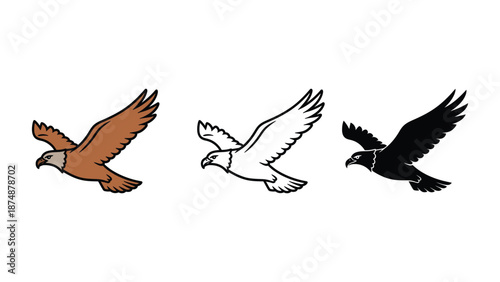 Three stylized birds of prey in flight, showcasing different color variations and a sketch outline.