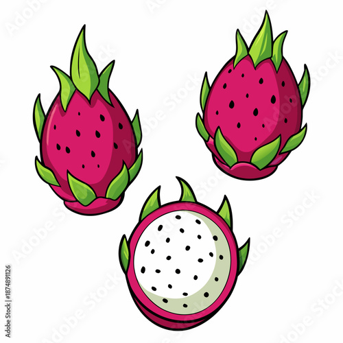 dragon fruit icon collection .design style with background