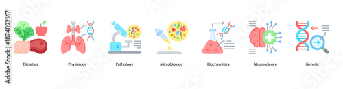 Biomedical Fields web banner illustration featuring Dietetics, Physiology, Pathology, Microbiology, Biochemistry, Neuroscience, and Genetic.