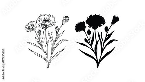 A colorful illustration of flowers in different styles and formats.