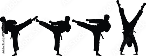 Karate martial arts silhouettes performing high kicks and acrobatic moves, black belt fighters training sequence, strength discipline, vector illustration