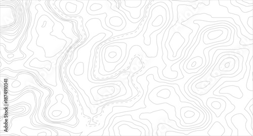 Vector geographic contour map. Background of the topographic map. Topographic map lines, contour background.

