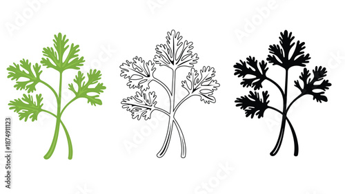 An illustration of parsley in three different colors and styles.
