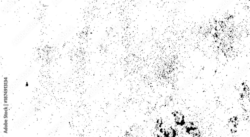 Fototapeta premium Image includes a effect the black and white tones. Abstract background. Monochrome texture.