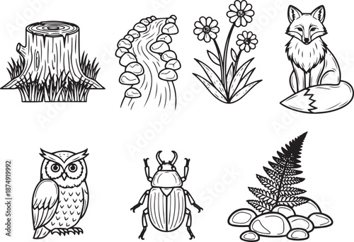 Woodland creatures and flora line collection beetle