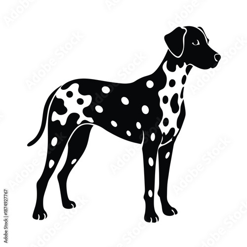 Dalmatian dog breed vector silhouette on white background