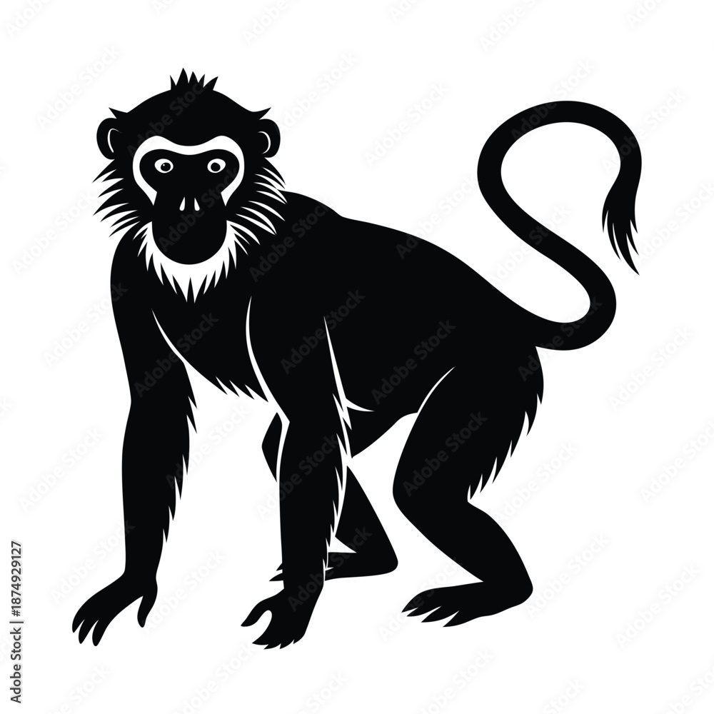 Fototapeta premium Japanese macaque snow monkey vector silhouette on white background