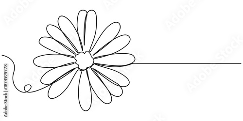 daisy flowers continuous one line drawing, Minimalist one line art of a daisy flower on a white background, in outline illustration. 