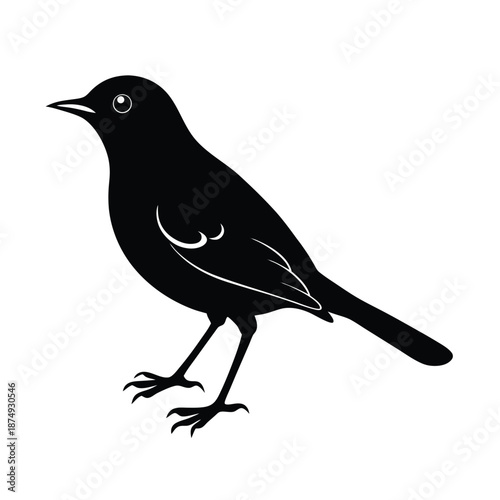 Thrush Bird Vector Silhouette Isolated on White Background