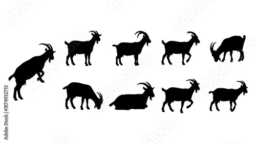 Group of 2 Objects (3).eps